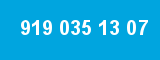 919 035 13 07